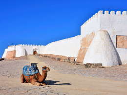 Tourismile - Tenerife