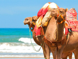 Tourismile - Tenerife