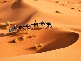 Tourismile - Tenerife