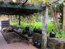 Marzagana Elementales - La Orotava