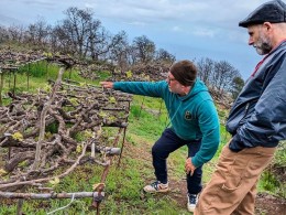 Marzagana Elementales - La Orotava