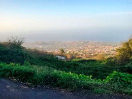 Marzagana Elementales - La Orotava