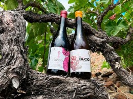 Marzagana Elementales - La Orotava