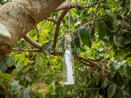 Juego de rol para 2 niños ¡Aventura pirata!