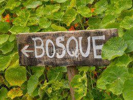 Guarida del Pirata - Los Realejos