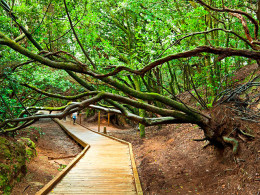 8 Mosquetones Adventure - Santa Cruz