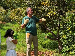 Avocado Experience Tahodio - Santa Cruz