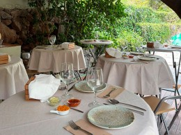 Avocado Experience Tahodio - Santa Cruz