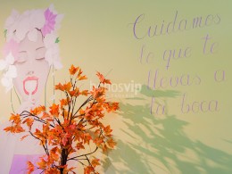 Cachitos Realfood - Santa Cruz