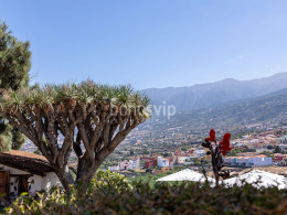 El Monasterio - Los Realejos