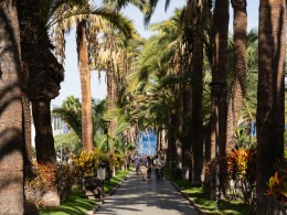 El Michi del Puerto - Puerto de la Cruz