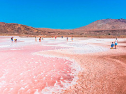 Tourismile - Tenerife