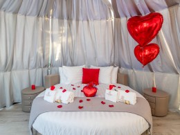 Finca Alaya Tenerife - Guía de Isora