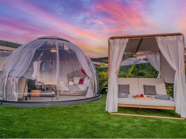 Finca Alaya Tenerife - Guía de Isora