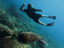 Adventure Time - Palm-Mar