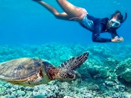 Adventure Time - Palm-Mar