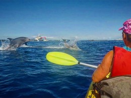 KAYAKING SHINGI ADVENTURES en el Palm-mar