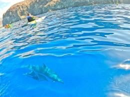 KAYAKING SHINGI ADVENTURES en el Palm-mar