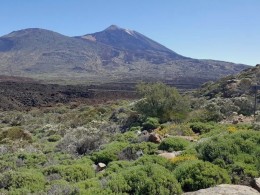 1 o 2 noches en habitación deluxe con media pensión + spa privado con cava y fruta 