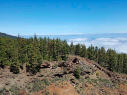 El Tejar Hotel & Spa - Vilaflor