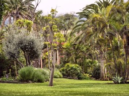 Precise Resort Hotel - Puerto de La Cruz