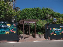 Agrocardón - Tejina
