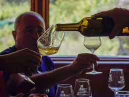 Bodega 500 Escalones - La Laguna