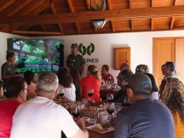 Bodega 500 Escalones - La Laguna