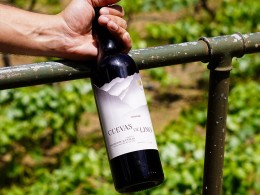 Bodega 500 Escalones - La Laguna