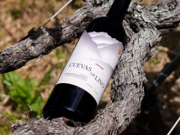 Bodega 500 Escalones - La Laguna