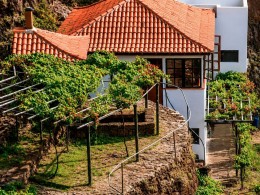 Bodega 500 Escalones - La Laguna
