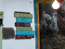 Tasca Sota Caballo y Rey - Santa Úrsula