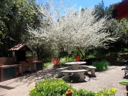 Casa Rural la Gustoza - El Sauzal