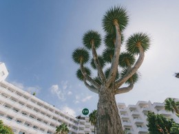 Hotel Vulcano - Playa de las Américas