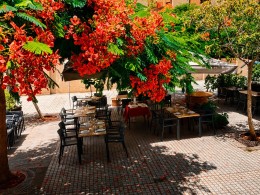 La Siracha Gastrobar - Santa Cruz