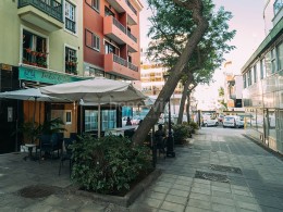 Jardines de Inés - Puerto de La Cruz